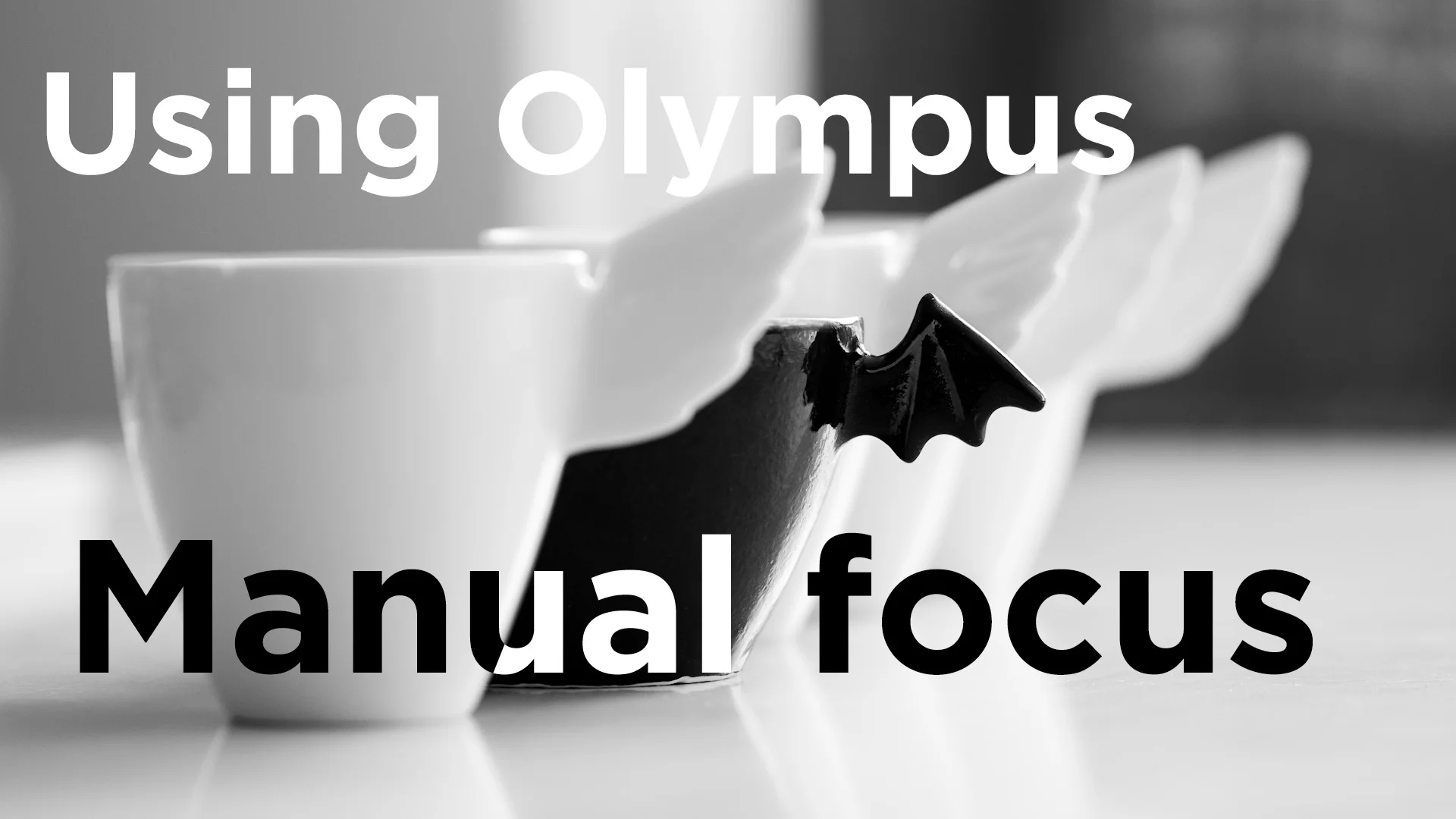Manual Focus Photography Using Olympus Episode 12