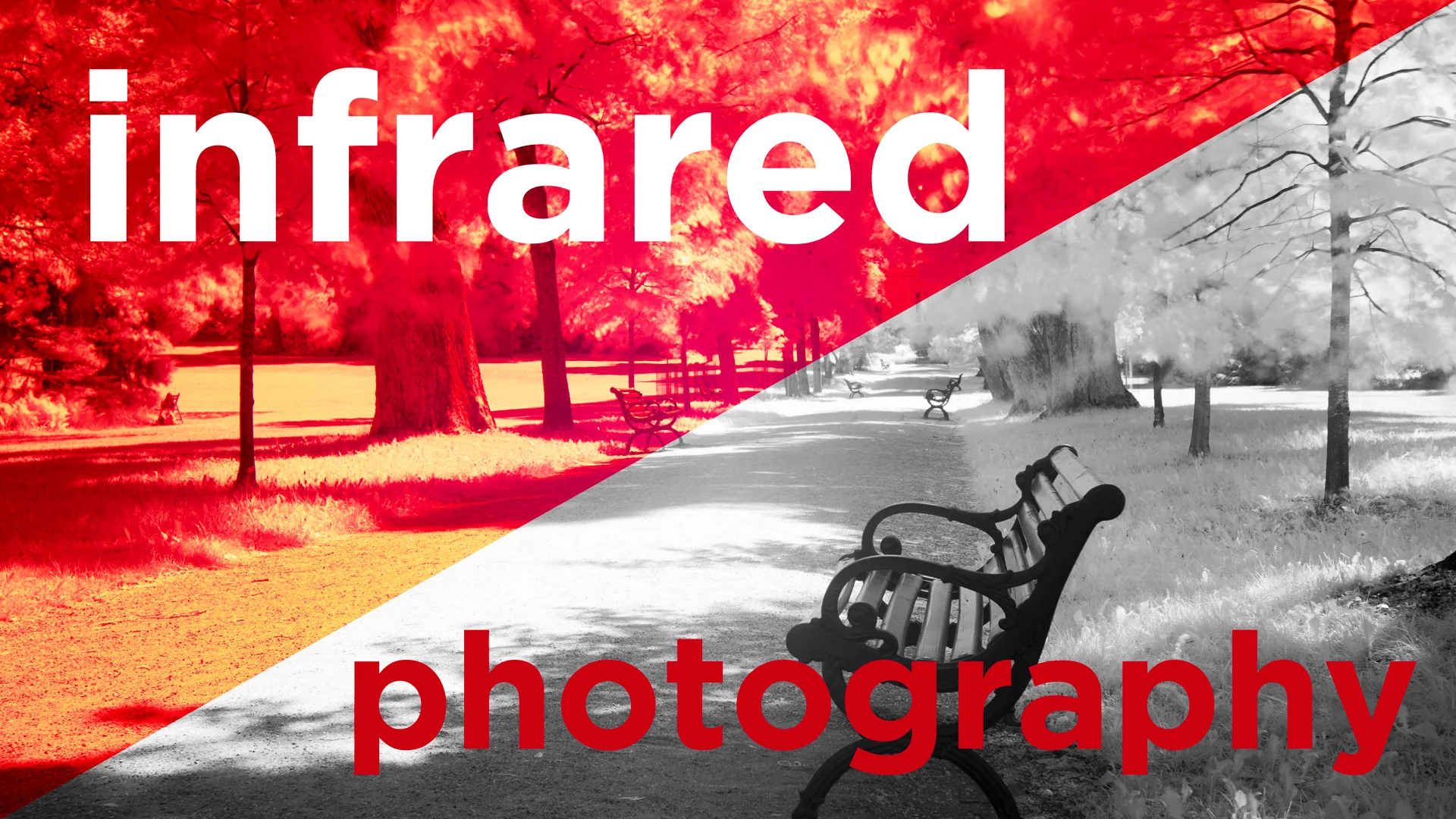 Infrared photography – digital infrared photos with Haida IR 720