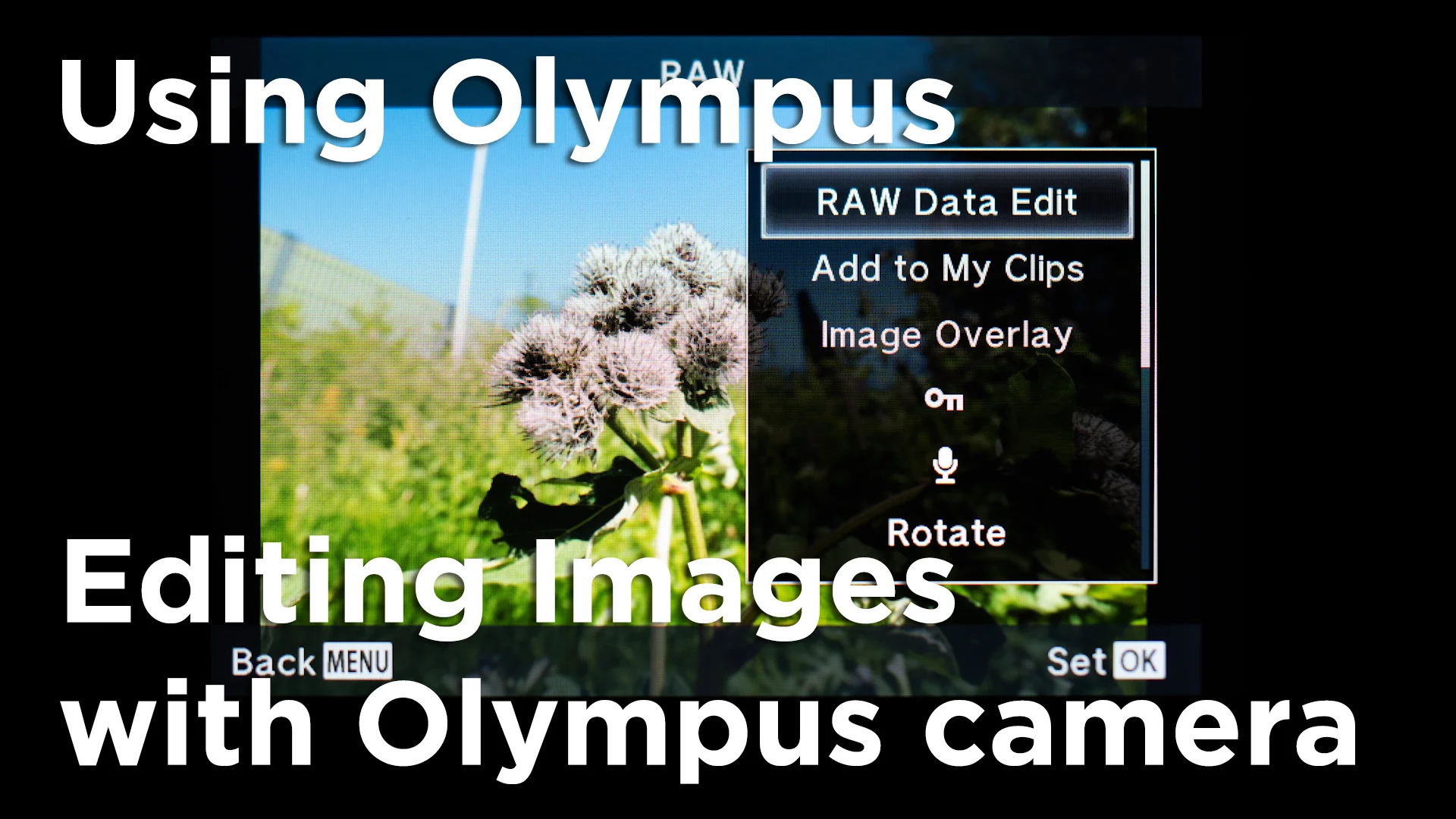 Editing Images with Olympus camera Using Olympus Tutorial