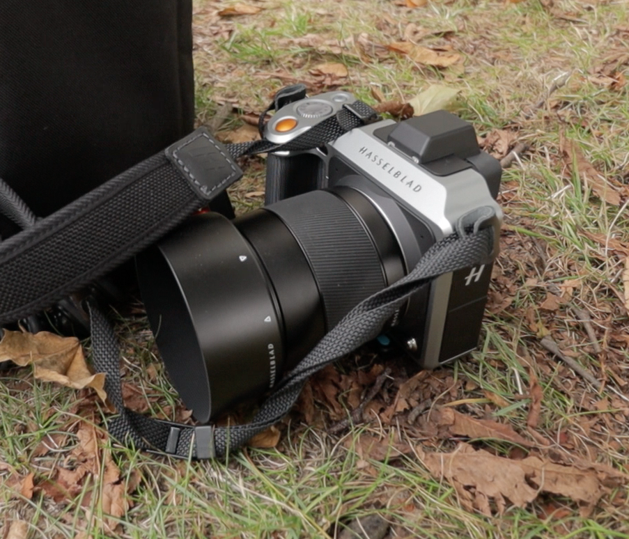 Olympus vs. Hasselblad