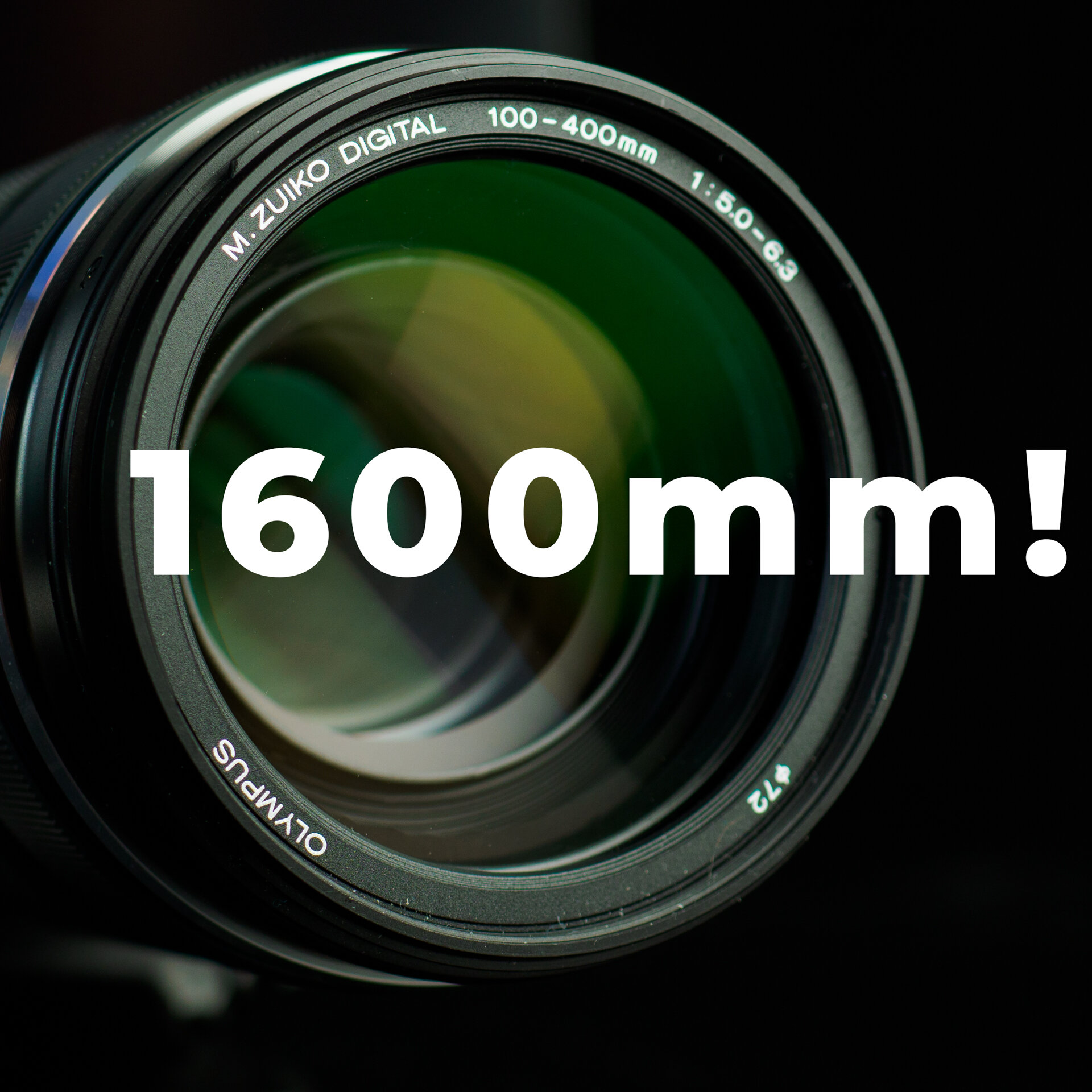 Olympus 100-400mm f5.0-6.3 and MC-20 – a 1600mm focal length combo!