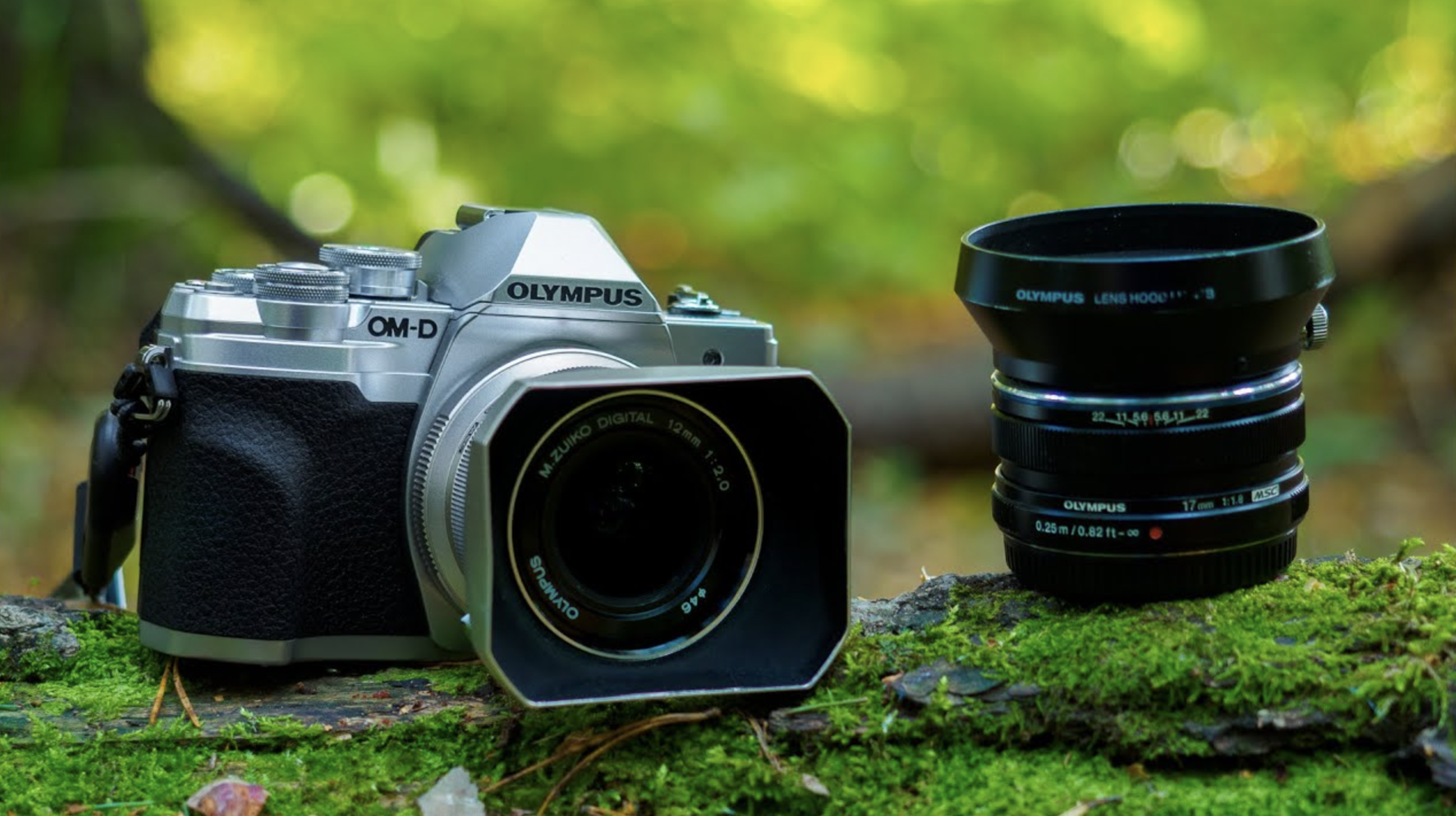 Challenge yourself with a Photo Assignment!