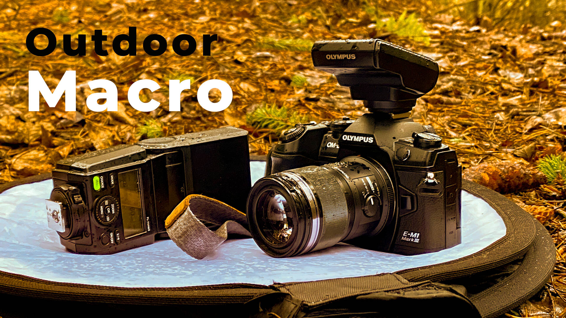 Outdoor Macro Assignment for you. – [Get Feedback!]