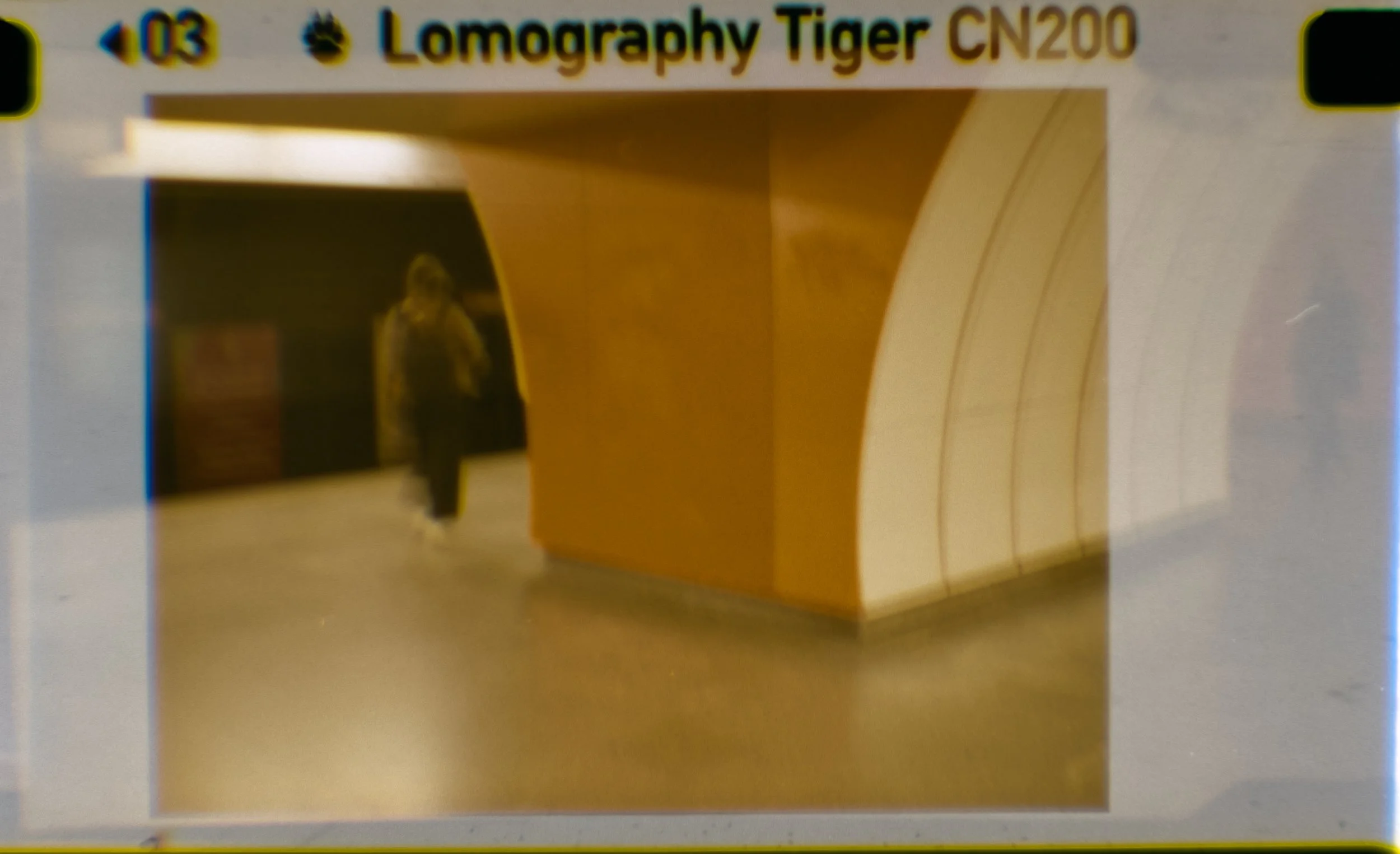 Lomography110_ZebraCrossing_002.jpg