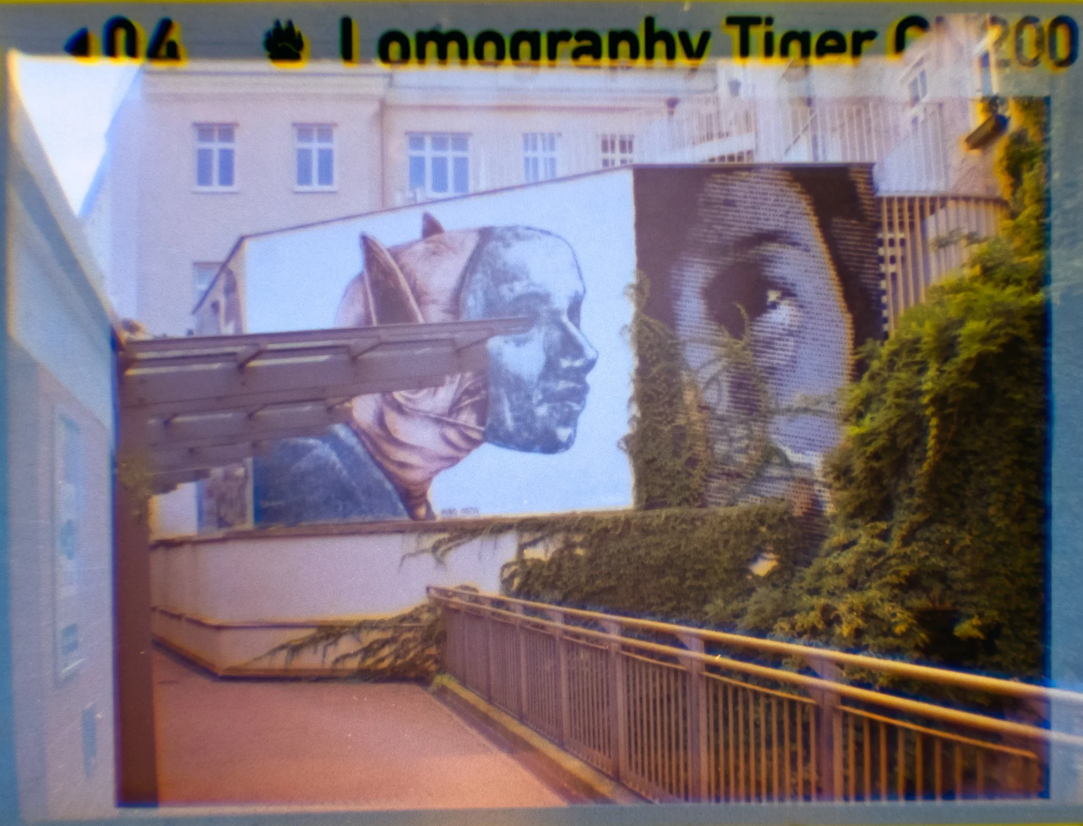 Lomography110_ZebraCrossing_004.jpg