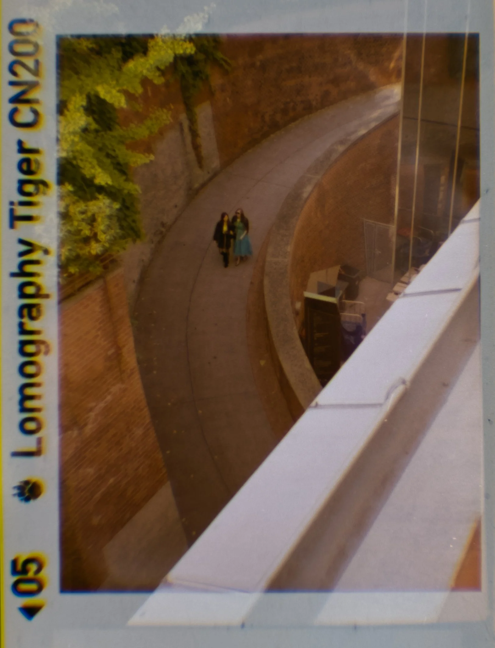 Lomography110_ZebraCrossing_005.jpg