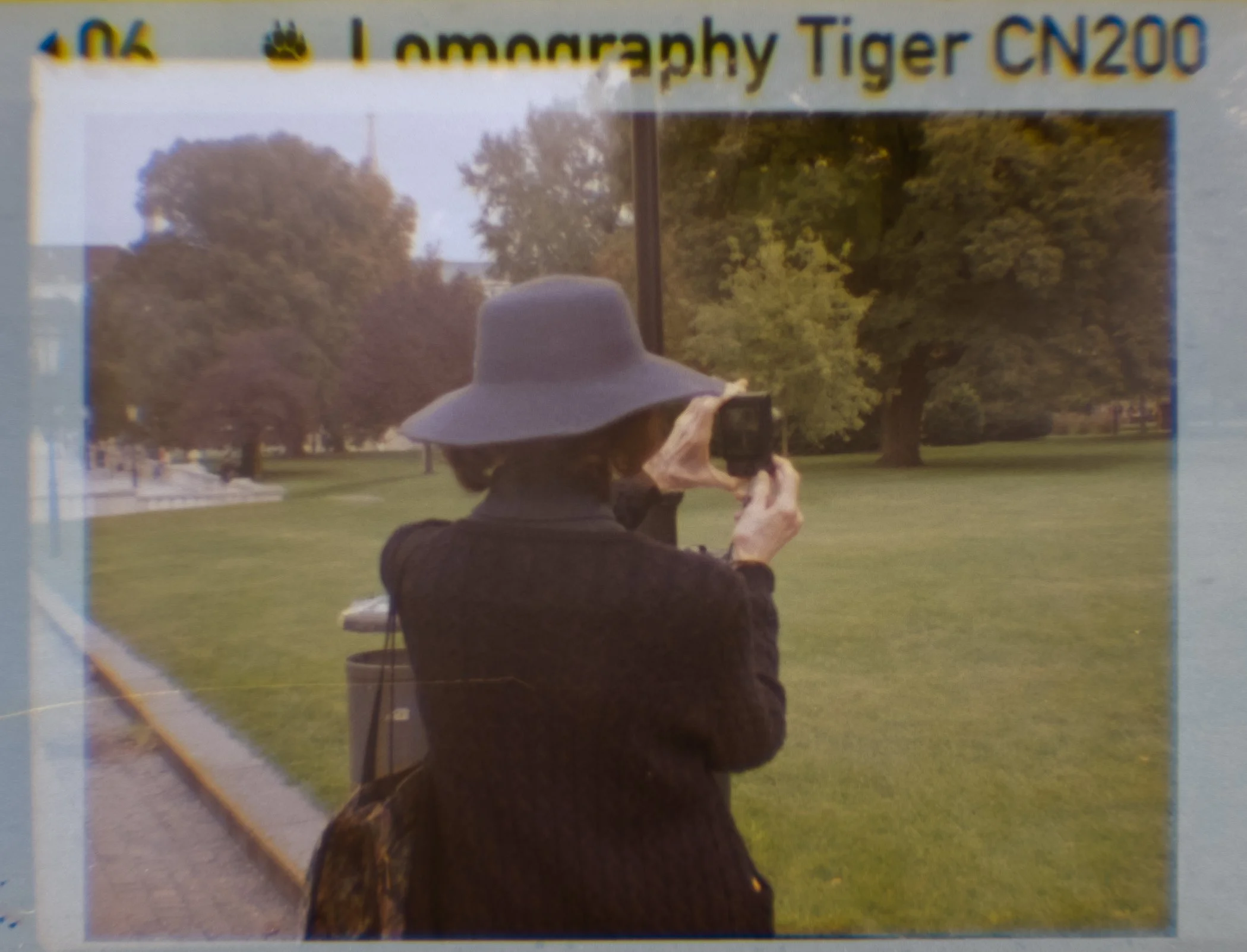 Lomography110_ZebraCrossing_006.jpg