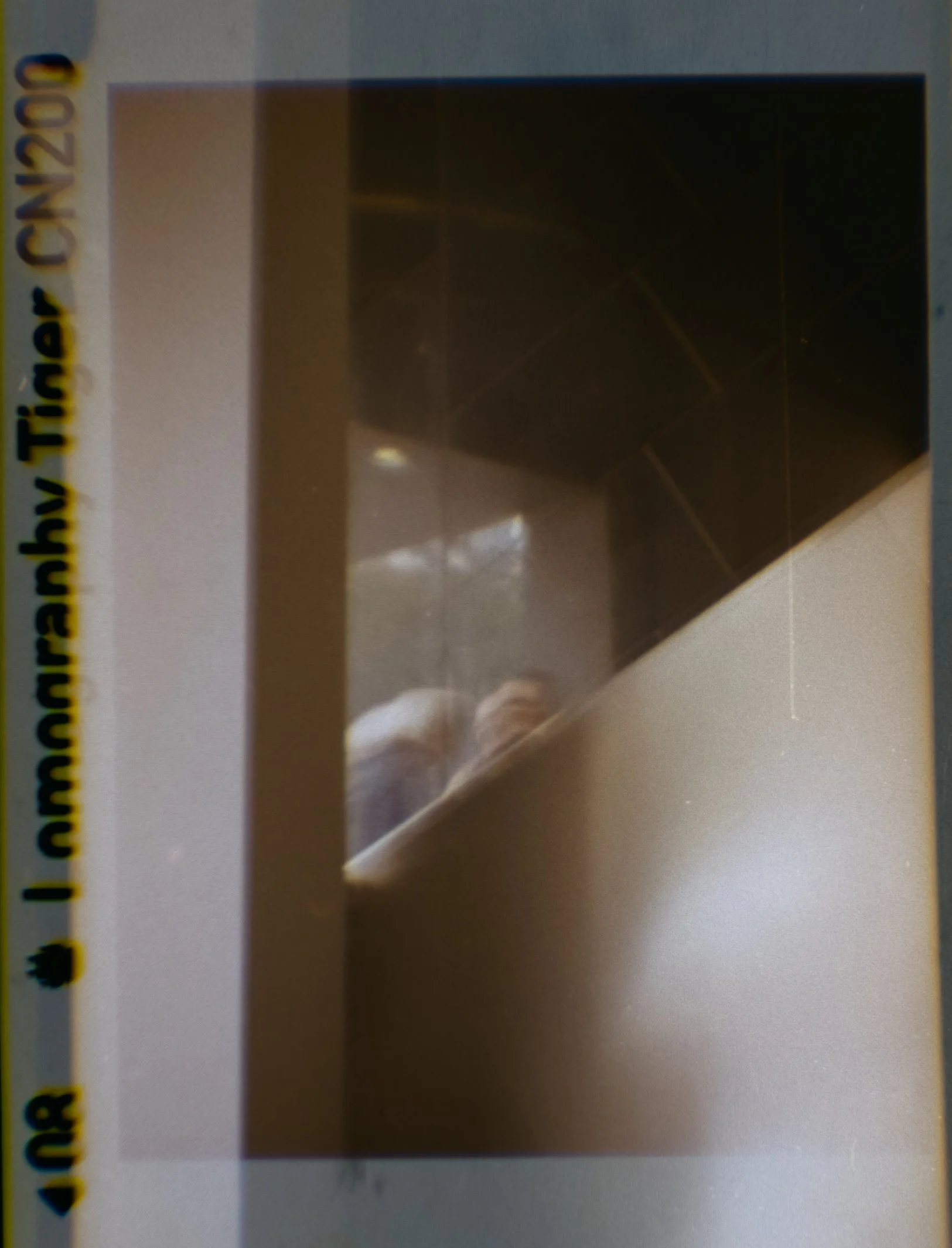 Lomography110_ZebraCrossing_008.jpg