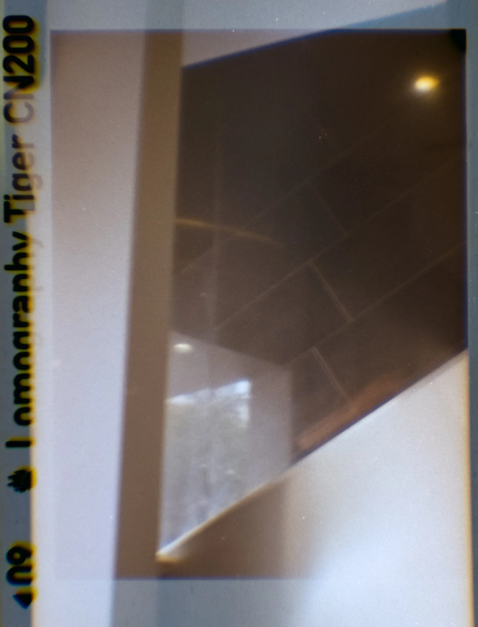 Lomography110_ZebraCrossing_009.jpg