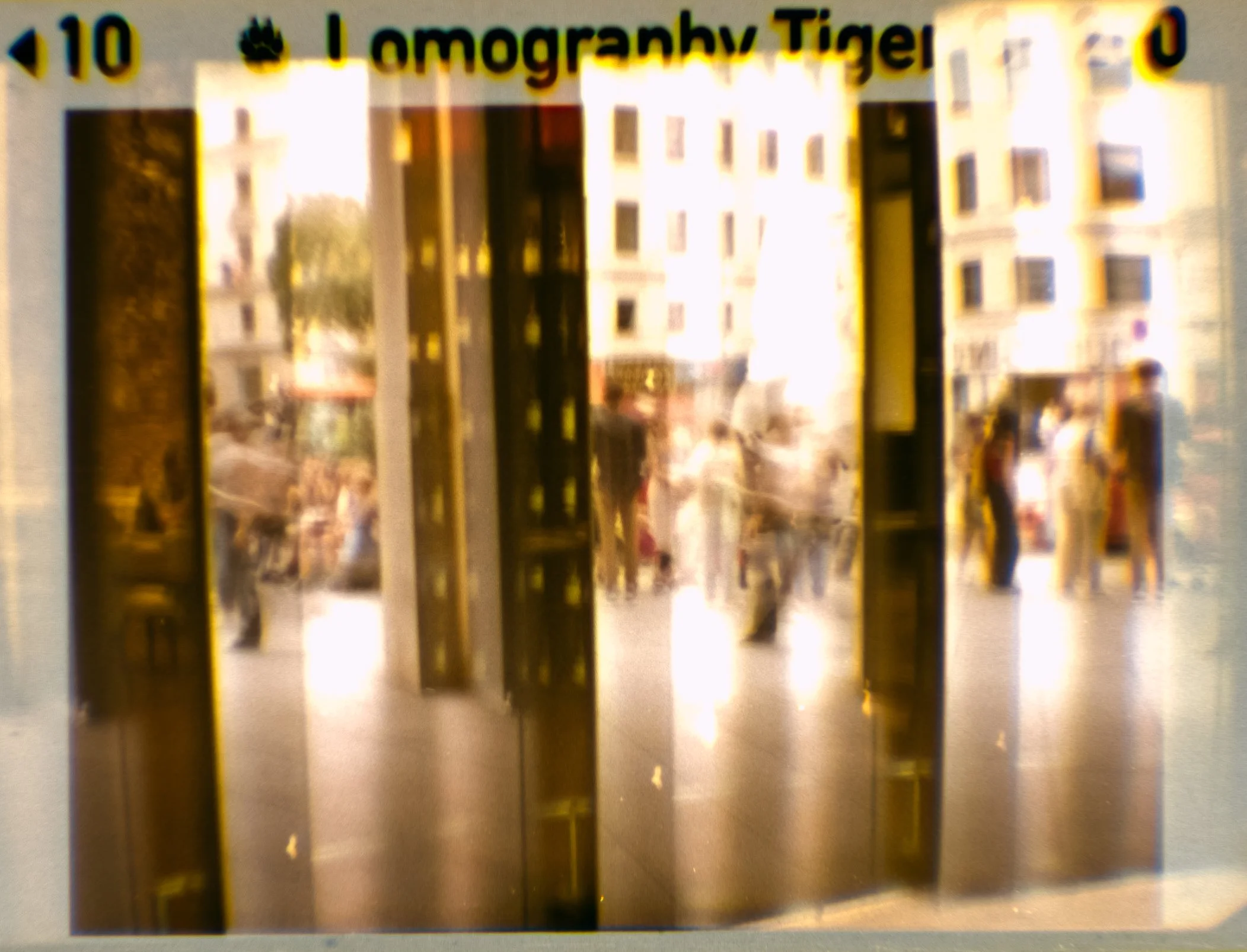Lomography110_ZebraCrossing_010.jpg