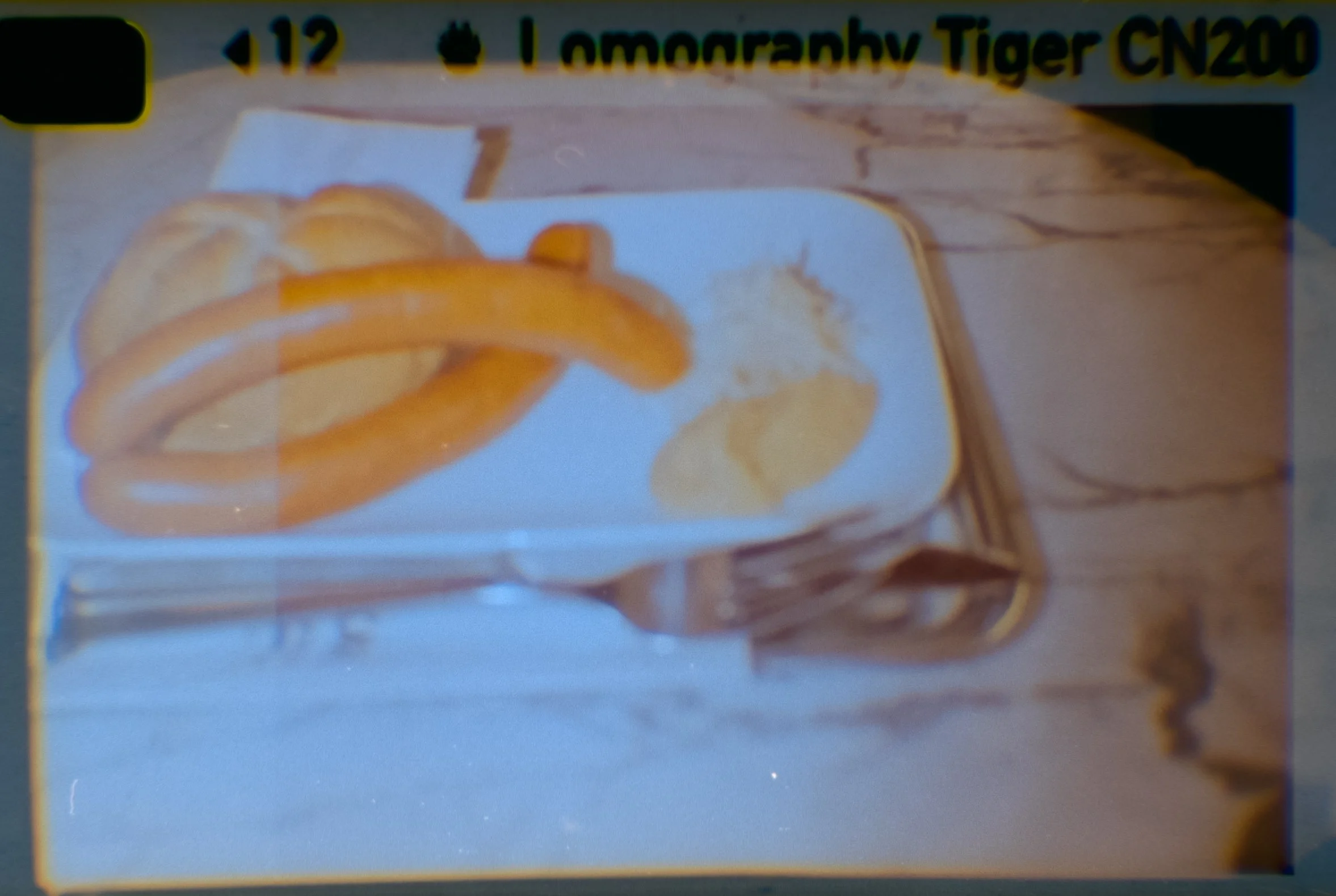 Lomography110_ZebraCrossing_012.jpg
