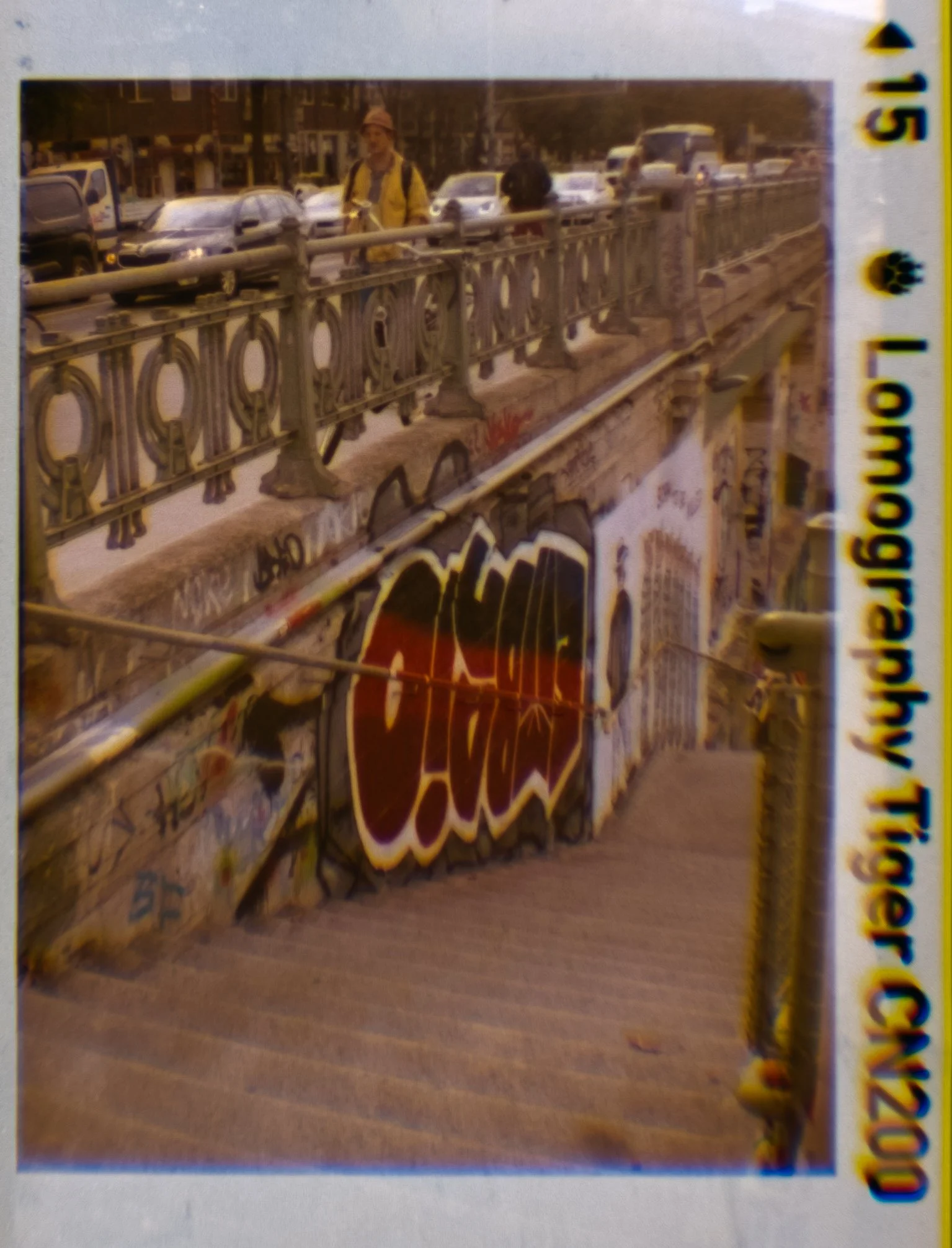 Lomography110_ZebraCrossing_015.jpg
