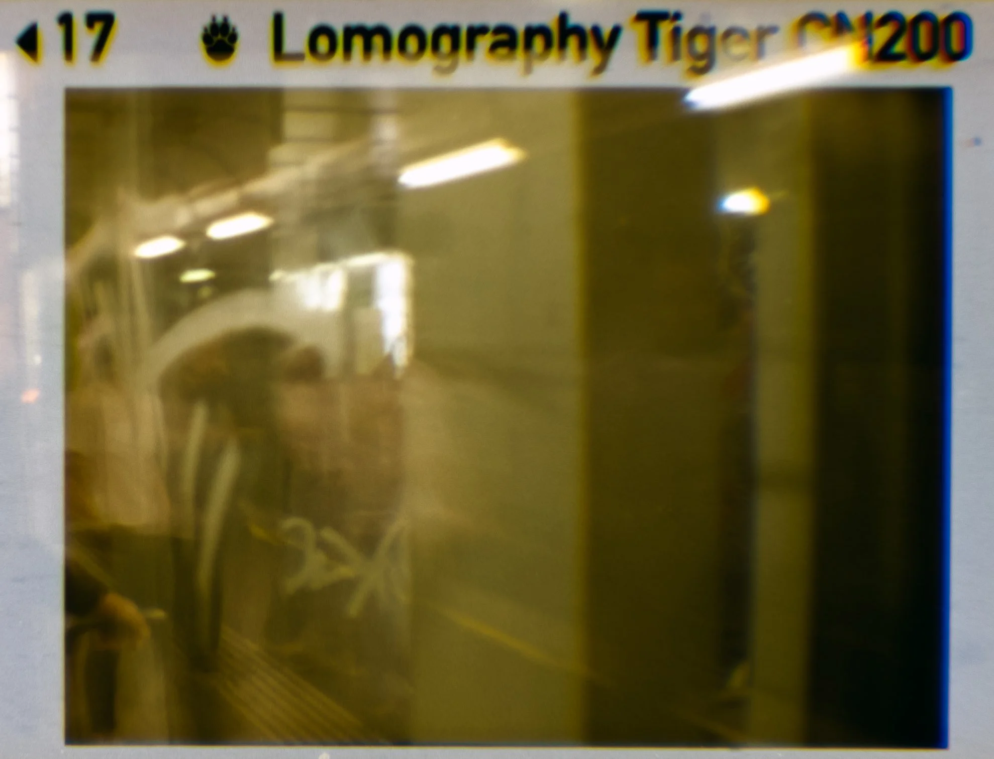 Lomography110_ZebraCrossing_017.jpg