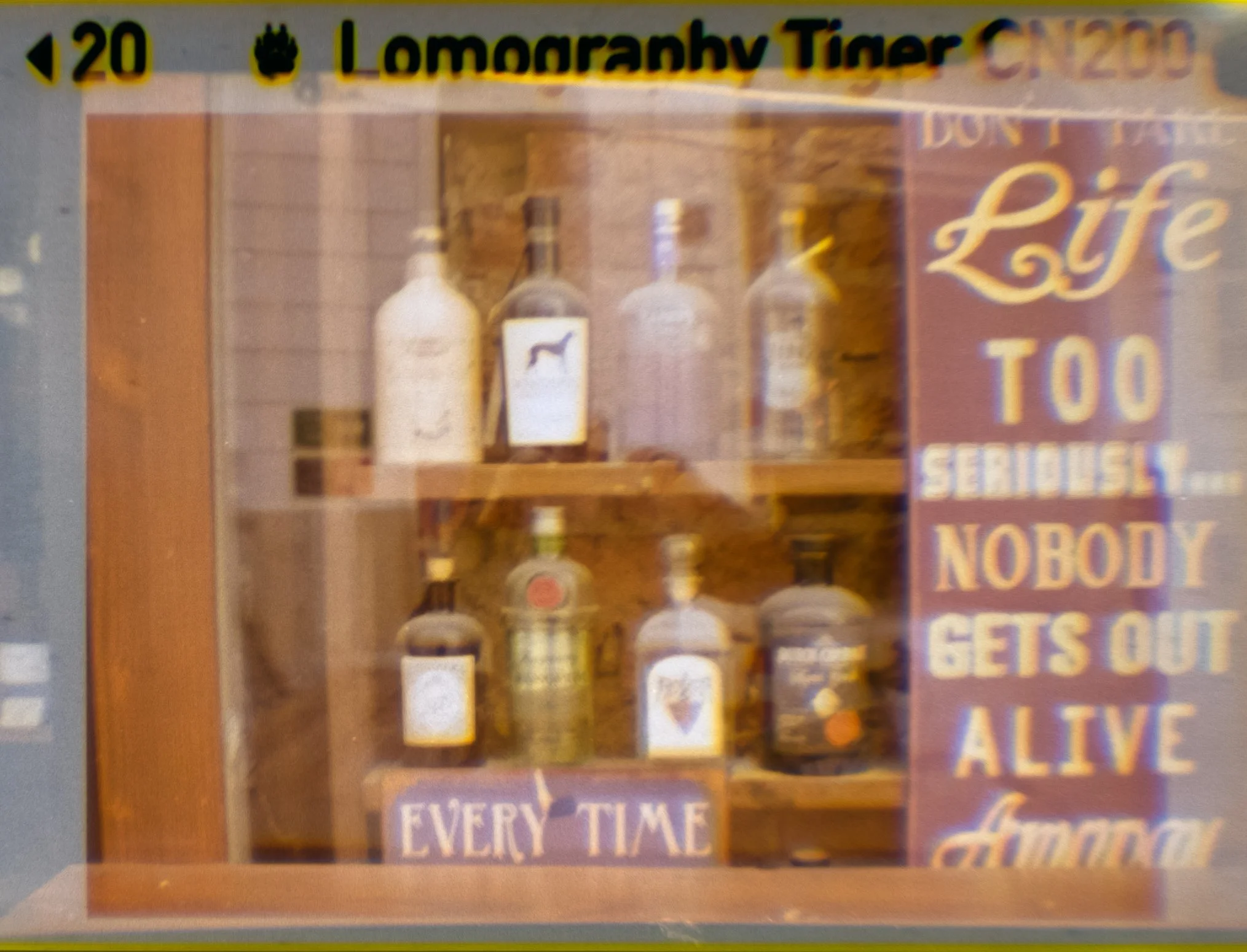 Lomography110_ZebraCrossing_020.jpg