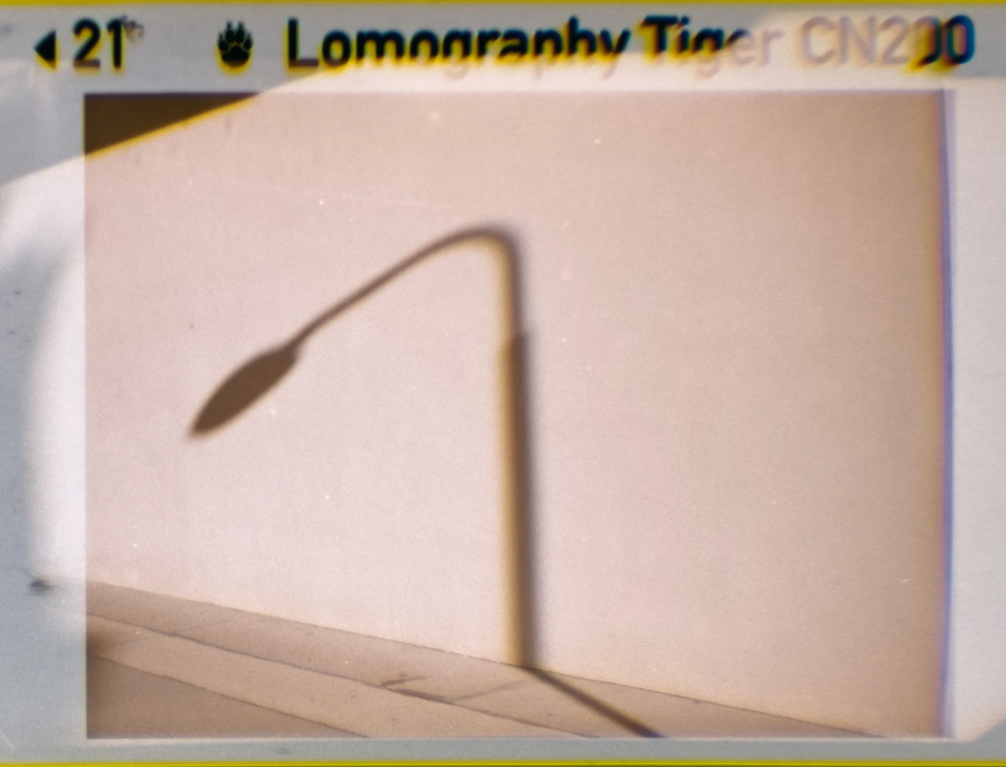 Lomography110_ZebraCrossing_021.jpg
