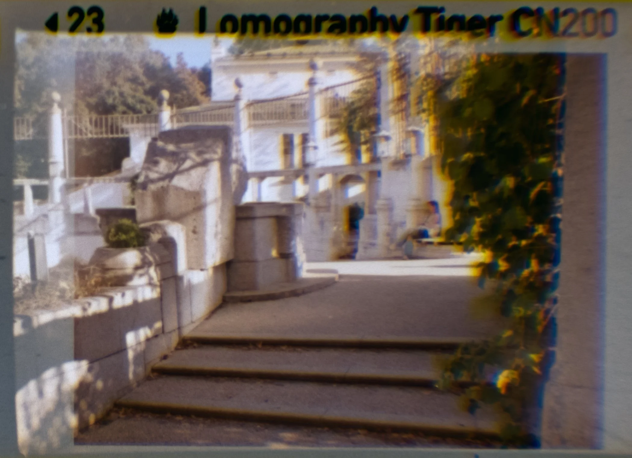 Lomography110_ZebraCrossing_023.jpg