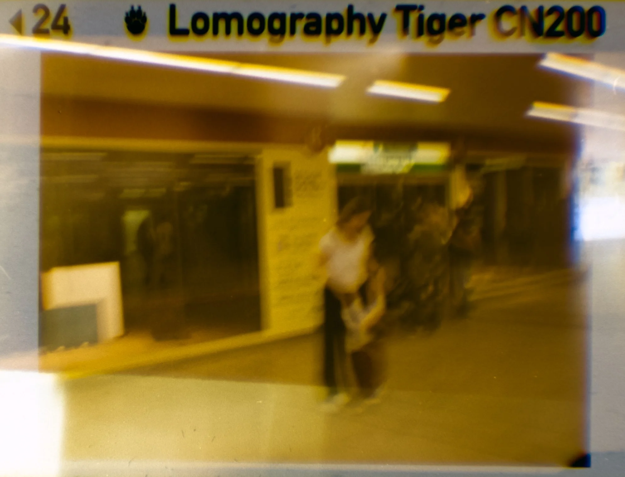 Lomography110_ZebraCrossing_024.jpg